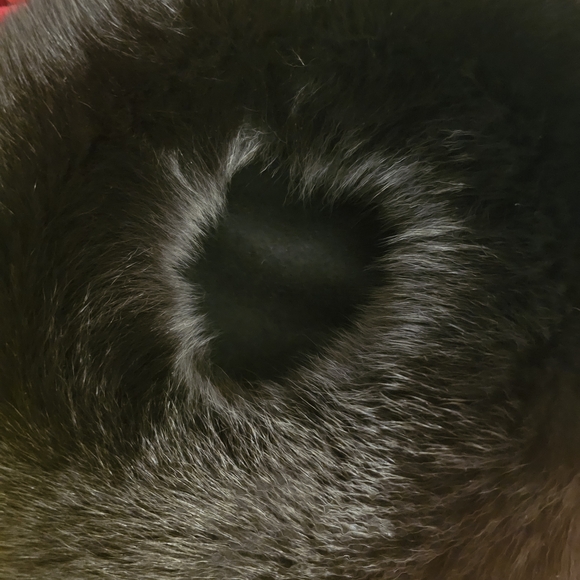 Gartenhaus Black Mink Fur Hat main image 5